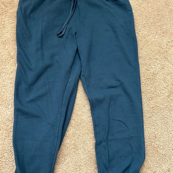 Goodfellow & Co Teal Jogger Pants - Picture 2 of 4